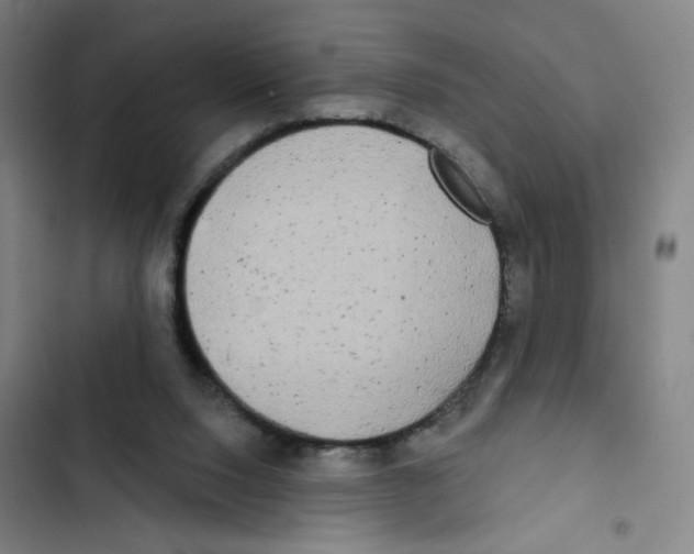 X0000102350064200808291211