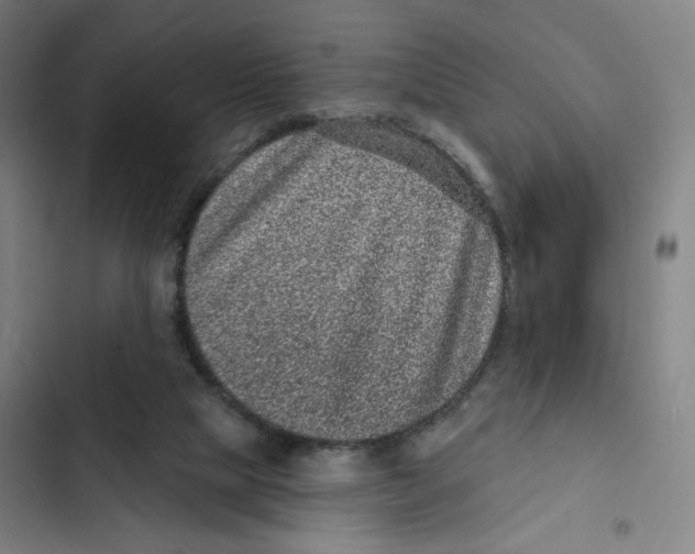 X0000102350065200808291211