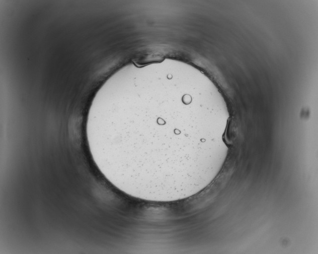 X0000102350066200808291211