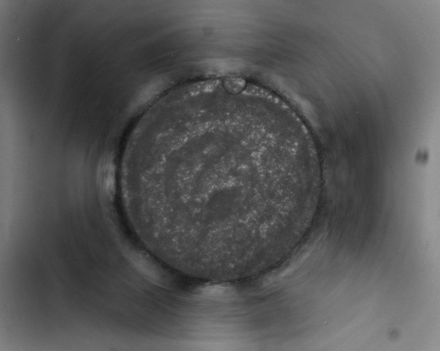 X0000102350067200808291211