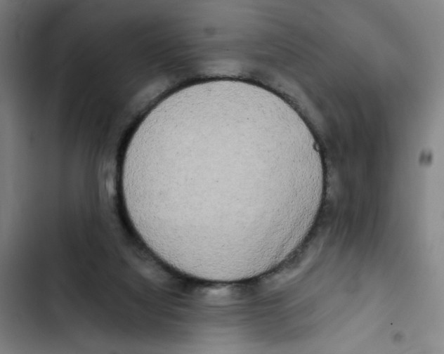 X0000102350068200808291211