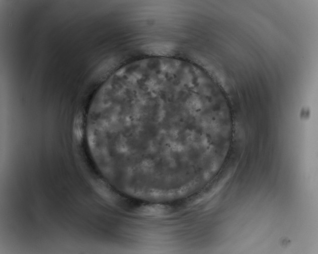 X0000102350069200808291211