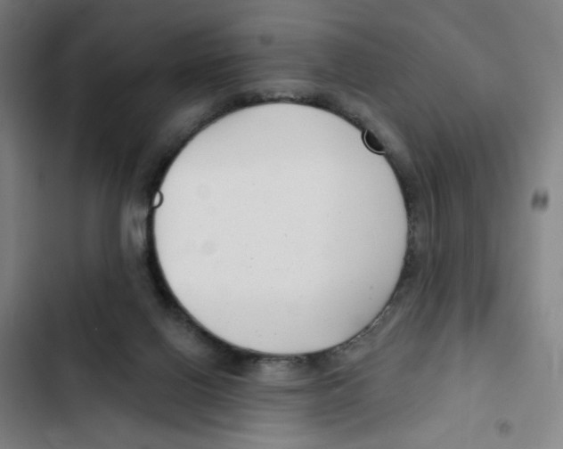 X0000102350070200808291211