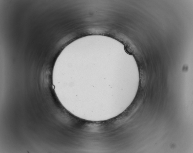 X0000102350071200808291211