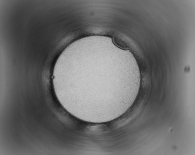 X0000102350072200808291211