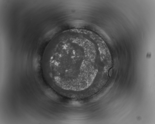 X0000102350073200808291211