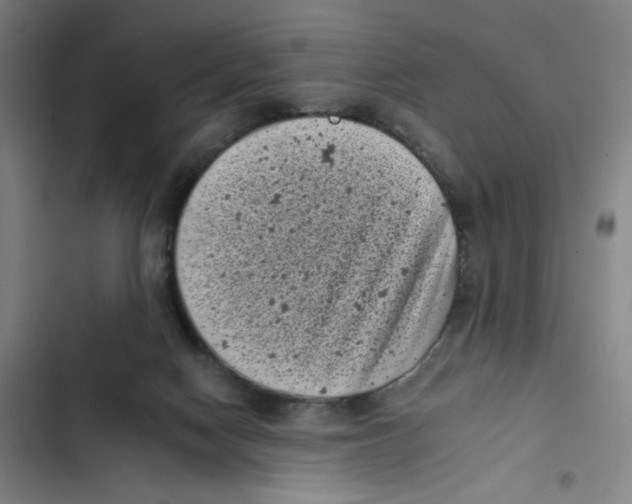 X0000102350074200808291211