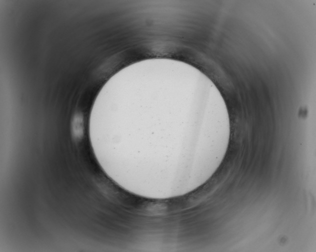 X0000102350075200808291211