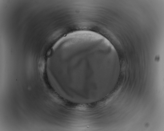 X0000102350076200808291211