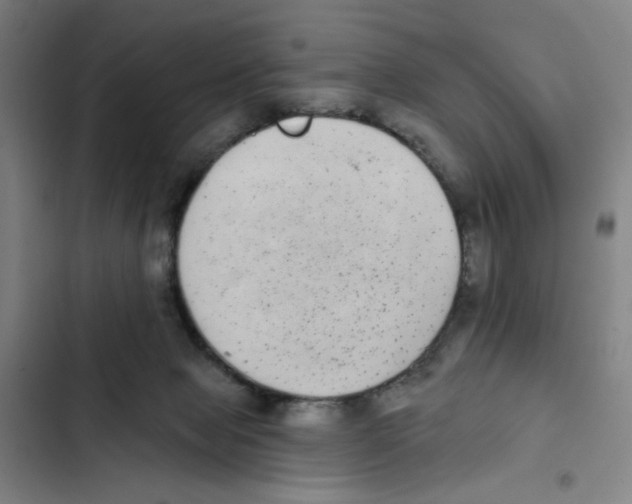 X0000102350077200808291211