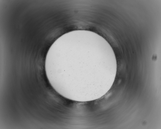 X0000102350078200808291211