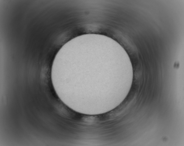 X0000102350079200808291211