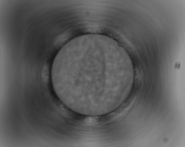 X0000102350080200808291211