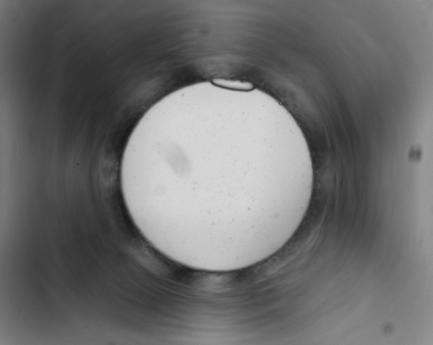 X0000102350081200808291211