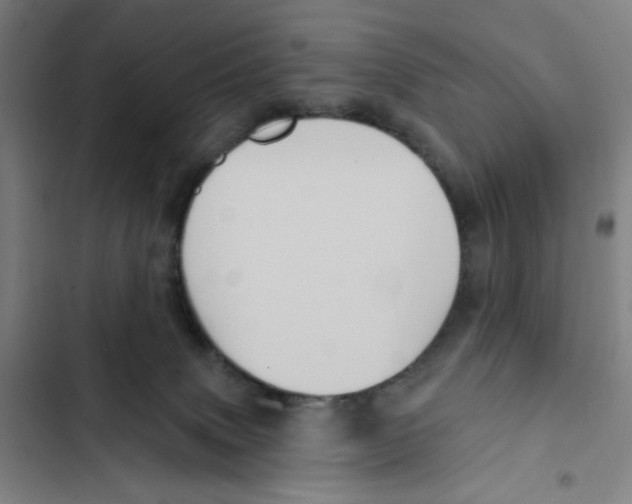 X0000102350083200808291211