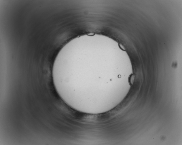 X0000102350084200808291211