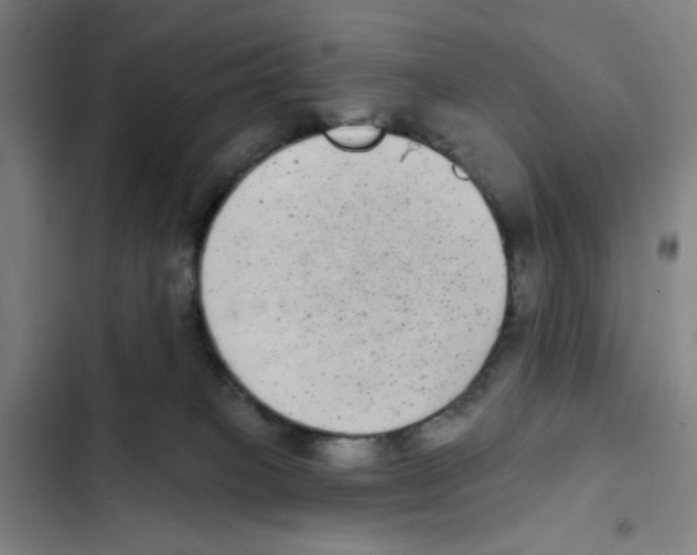 X0000102350085200808291211