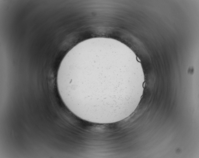X0000102350086200808291211