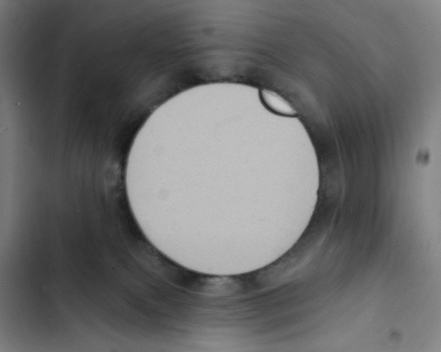 X0000102350087200808291211