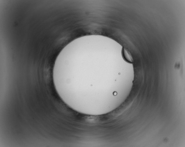 X0000102350088200808291211