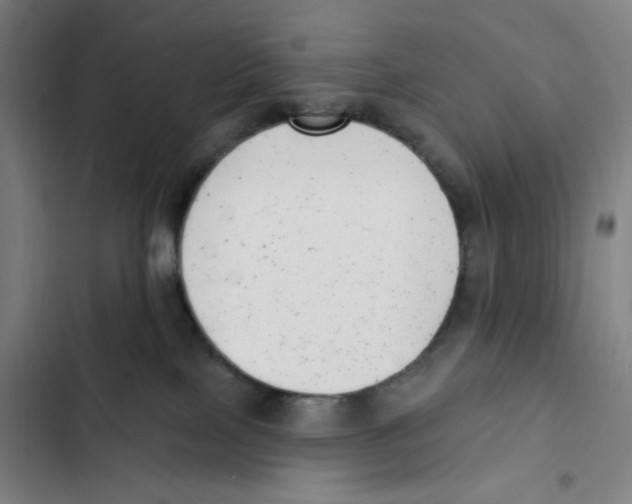 X0000102350089200808291211