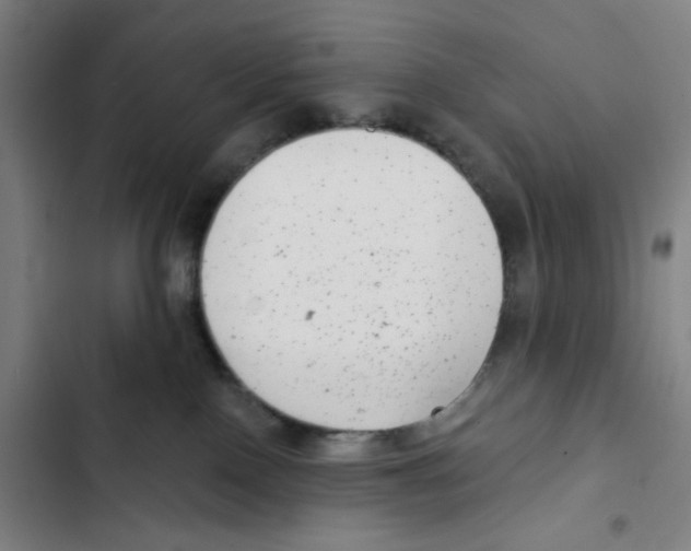 X0000102350090200808291211
