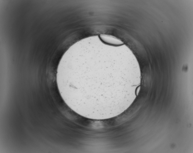 X0000102350091200808291211