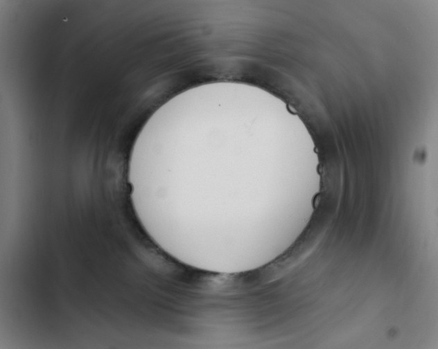 X0000102350092200808291211