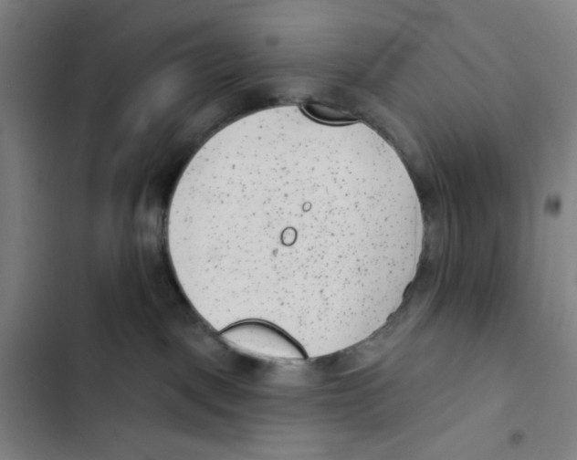 X0000102350093200808291211
