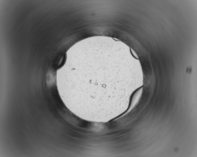 X0000102350095200808291211