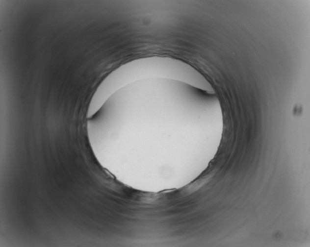 X0000102350096200808291211