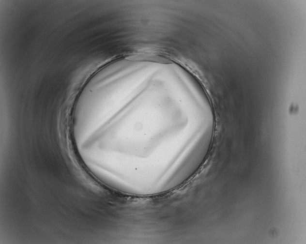 X0000102350097200808291211