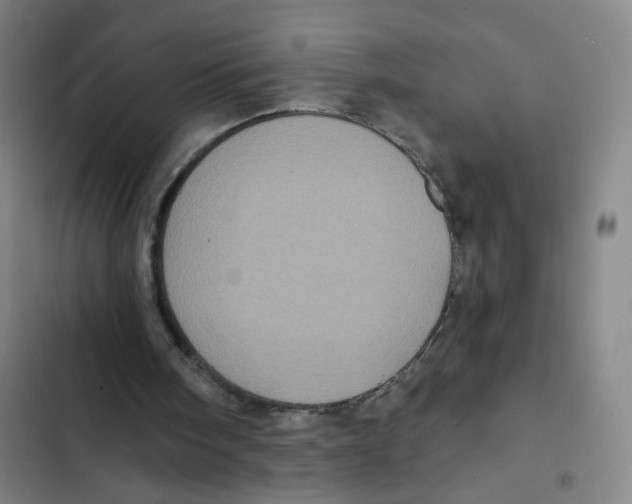 X0000102350098200808291211