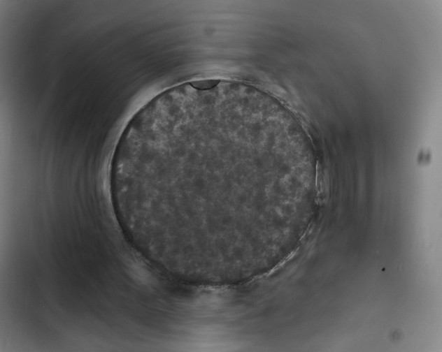 X0000102350099200808291211
