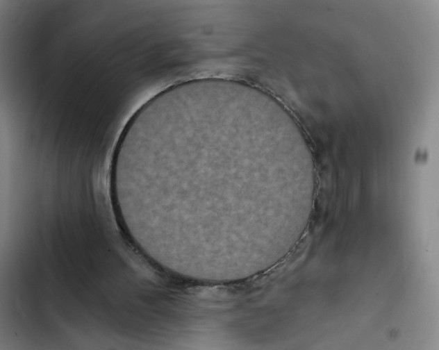X0000102350100200808291211
