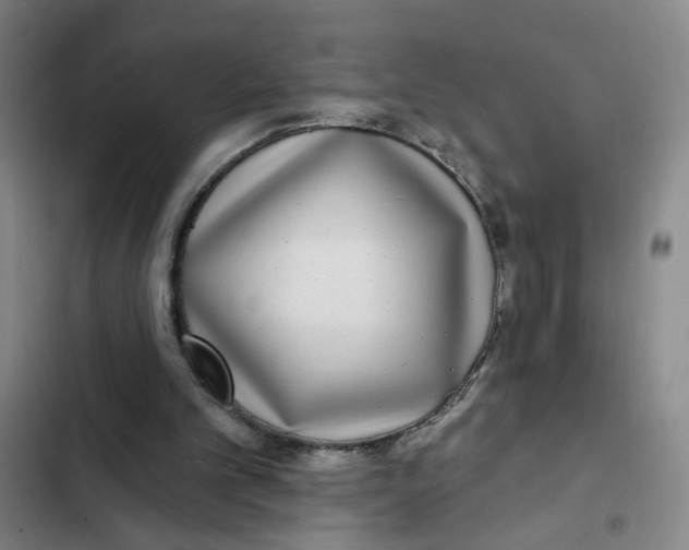 X0000102350101200808291211