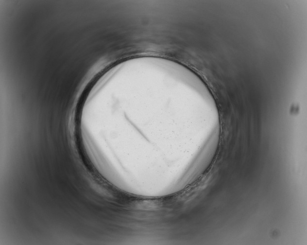 X0000102350102200808291211