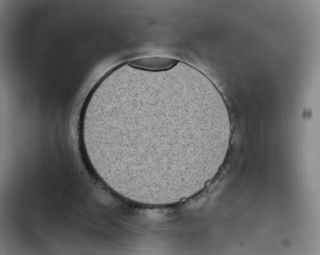 X0000102350103200808291210