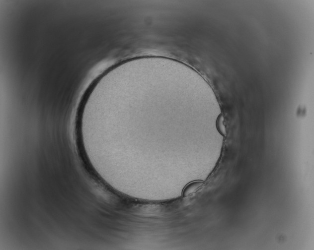 X0000102350104200808291210