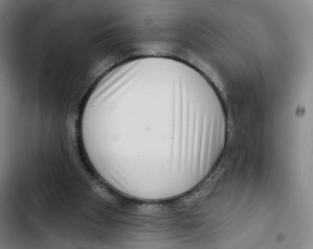 X0000102350105200808291210