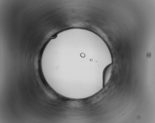 X0000102350106200808291210