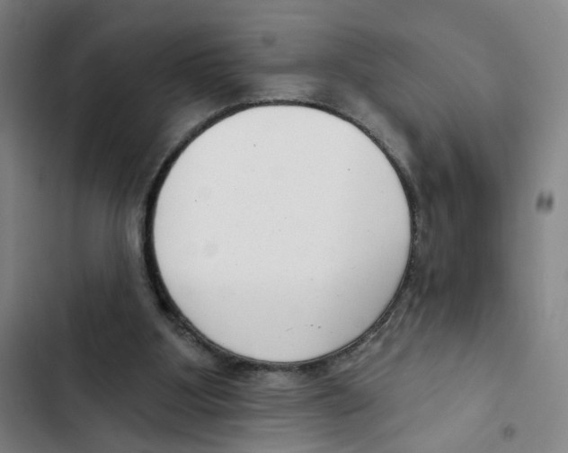 X0000102350107200808291210