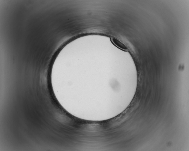 X0000102350108200808291210