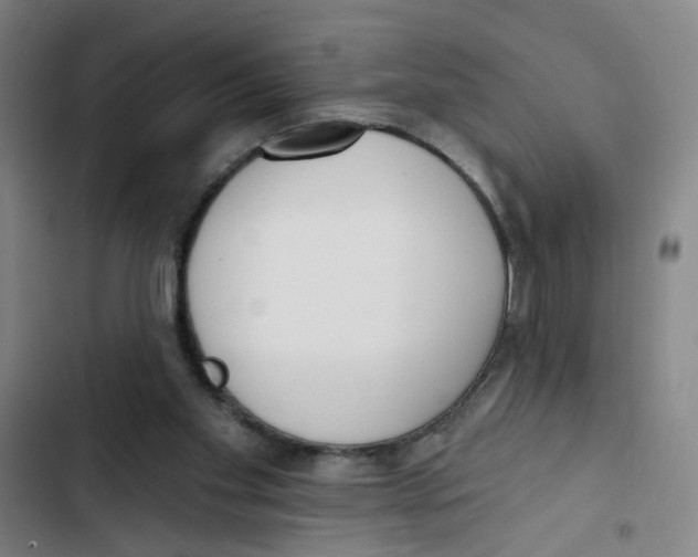 X0000102350109200808291210