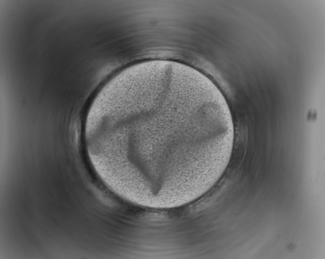 X0000102350110200808291210