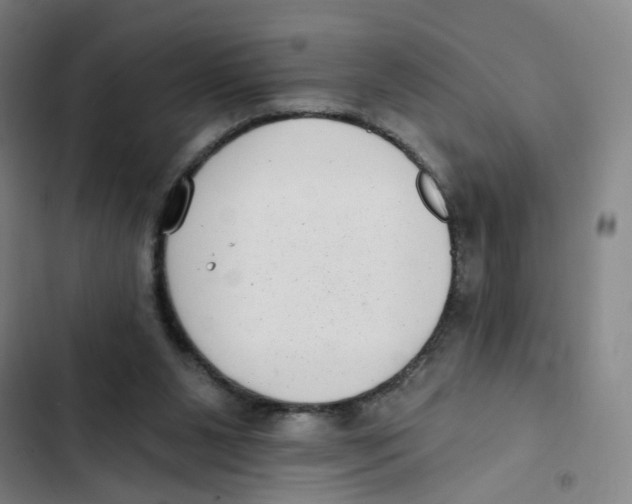 X0000102350111200808291210
