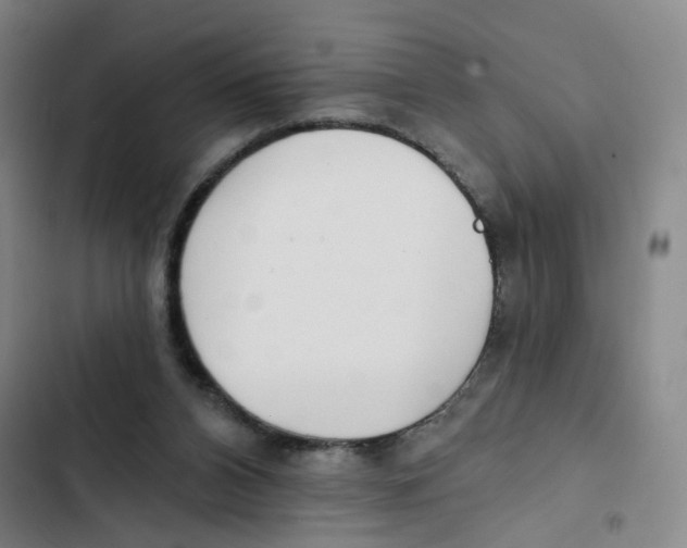 X0000102350112200808291210