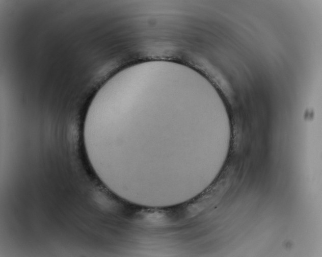 X0000102350113200808291210