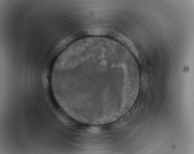 X0000102350114200808291210