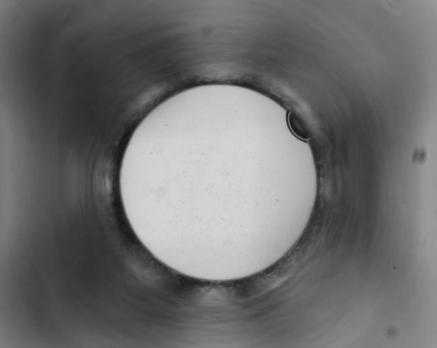 X0000102350115200808291210